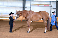 AJB_0718