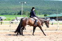 AJB_3915