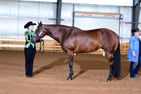 AJB_0447