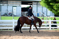 AJB_3619