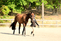 AJB_0213