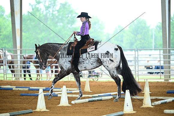 AJB_0462