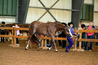 AJB_0126