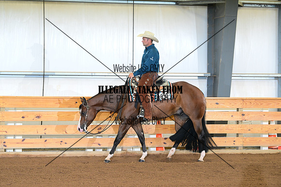 AJB_6197