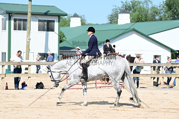 AJB_6582