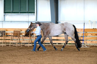 AJB_0991