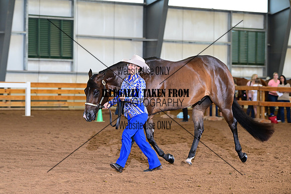 AJB_0436