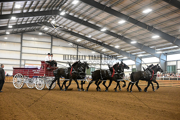 AJB_7359