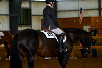 AJB_3594
