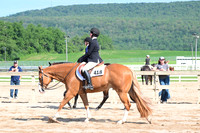 AJB_3962
