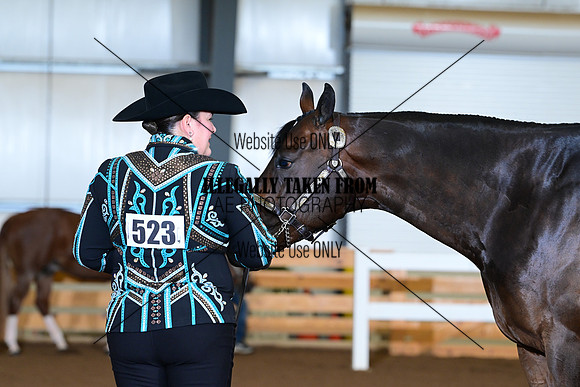 AJB_0269