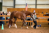 AJB_0337
