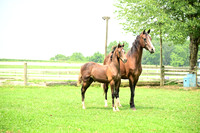 AJB_4772