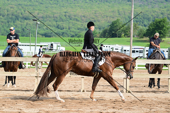 AJB_3694