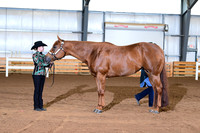AJB_0770