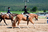 AJB_3970