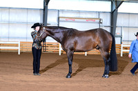 AJB_0546