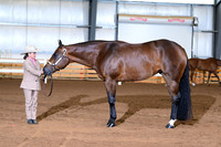 AJB_0749