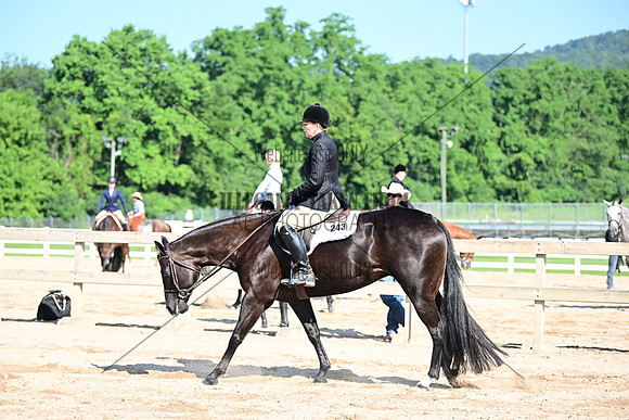 AJB_6444