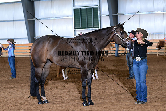 AJB_0842