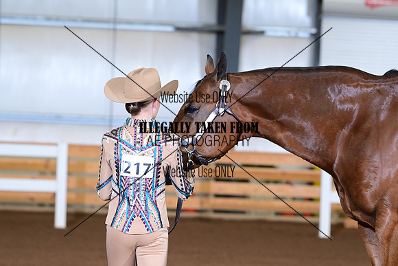 AJB_0454