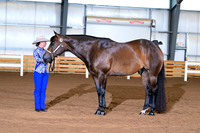 AJB_0438