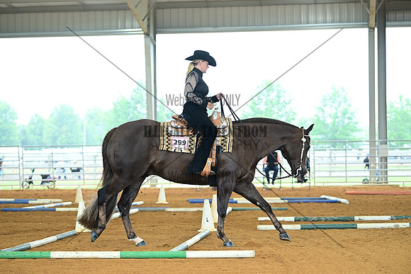 AJB_0484
