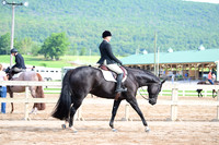 AJB_3749