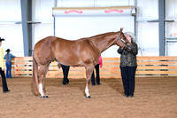 AJB_0948