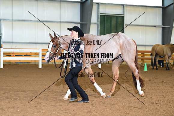 AJB_0082