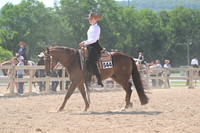 AJB_3023
