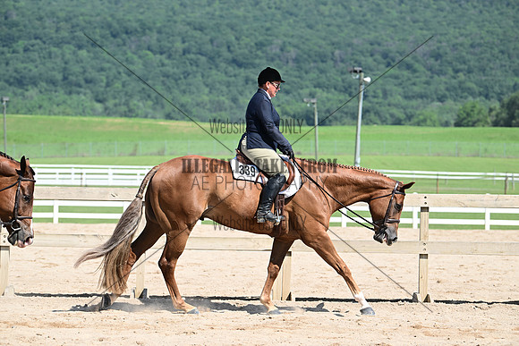 AJB_6956