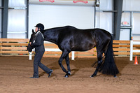 AJB_0678