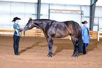 AJB_0555