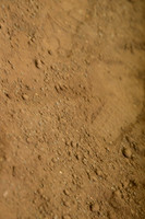 AJB_0987