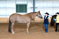 AJB_0978