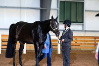 AJB_0676