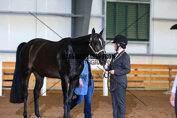 AJB_0676