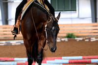 AJB_5626