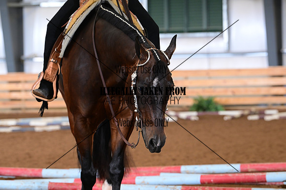 AJB_5626