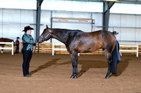 AJB_0268