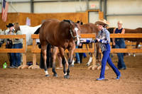AJB_0418