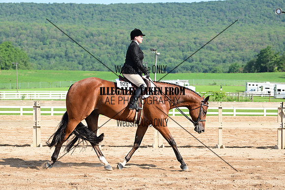 AJB_3631