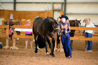 AJB_0641