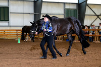 AJB_0465