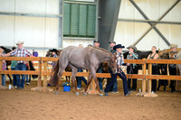 AJB_0254