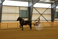 Sr. Youth Cart-1