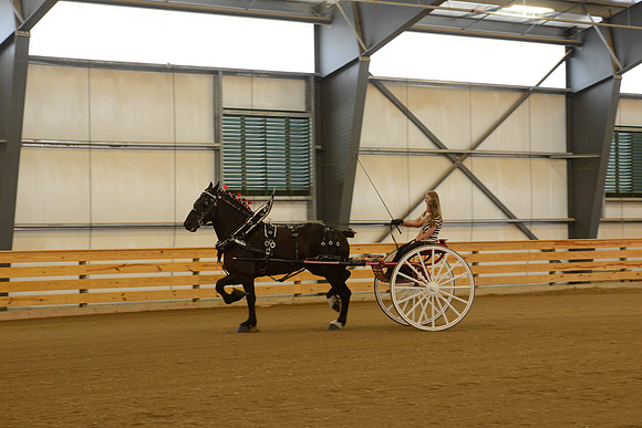 Sr. Youth Cart-1