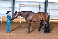 AJB_0564