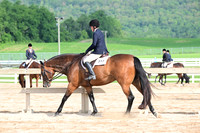 AJB_3746